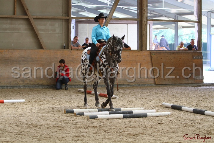26-ApHC GT_072.jpg